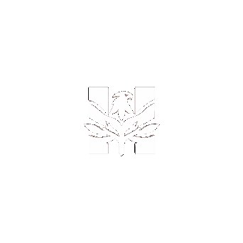 Branch HP